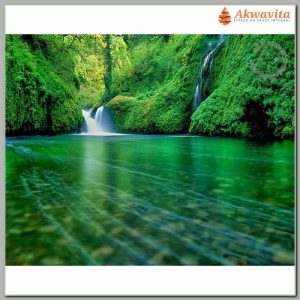 Captando a energia da natureza