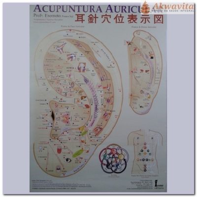 Pôster Acupuntura Auricular Japonesa e Chinesa Enomóto