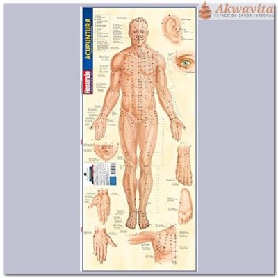 Mapa de Acupuntura dos Meridianos da MTC Resumão