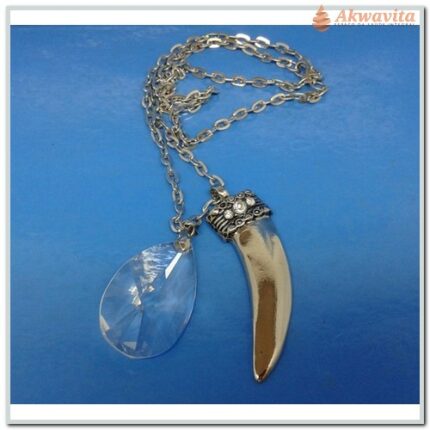 Colar com Pedra cristal e Dente Transparente e Límpido Energia