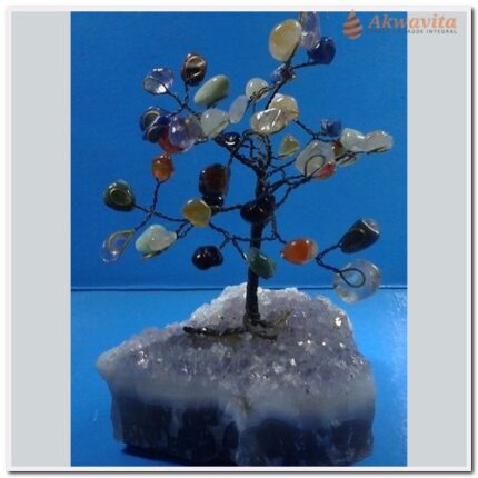 Árvore de Pedras Brasileiras Energéticas com Base Drusa