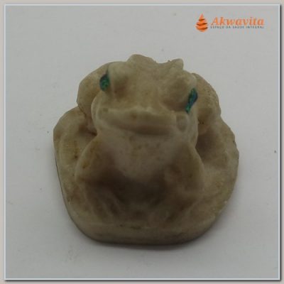 Sapo Branco Renovação da Vida em Resina de Olhos Verdes