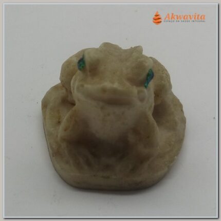 Sapo Branco Renovação da Vida em Resina de Olhos Verdes