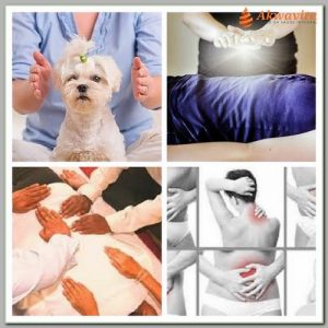 Reiki e algumas aplicações