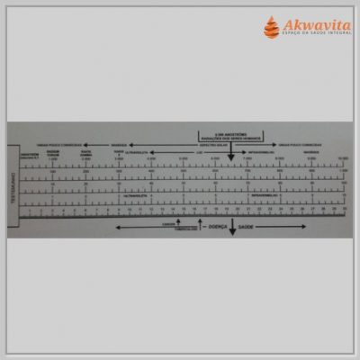 Biômetro de Bovis Régua de Mensuração Gráfico PVC