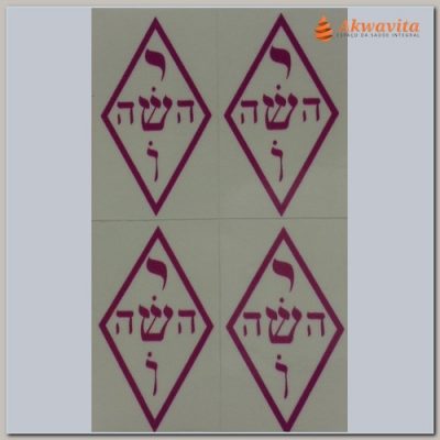 Adesivo Yoshua Médio 30x50mm 16 unidades