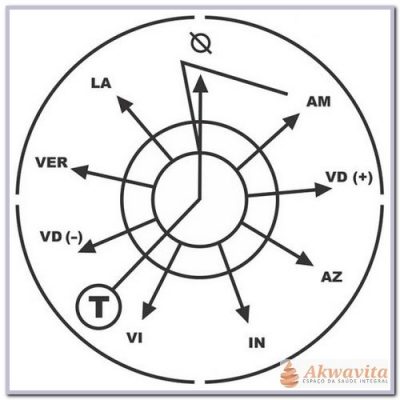 Reciclador de Espectros Magnéticos Gráfico Radiônico PVC