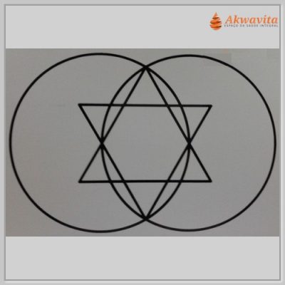 Vesica Piscis Reprogramador Gr Radiônico de PVC 16X23cm