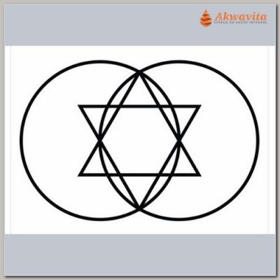 Vesica Piscis Reprogramador Gr Radiônico PVC Adesivo 22x32cm