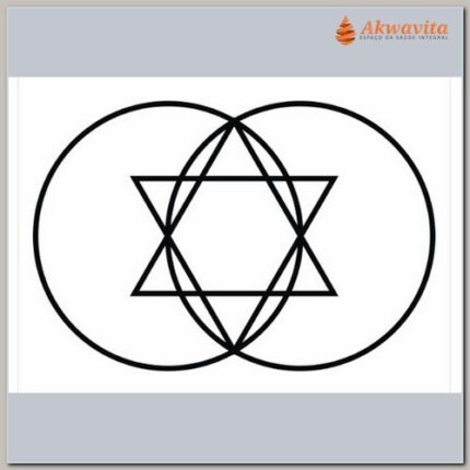 Vesica Piscis Reprogramador Gr Radiônico PVC Adesivo 22x32cm