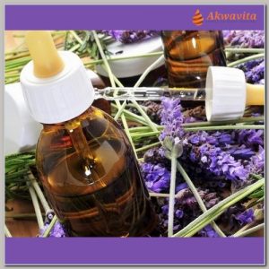 A Terapia Floral Sua energia na Transmutação das Emoções