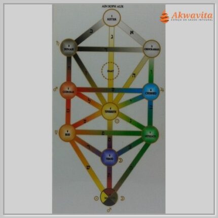 Árvore da Vida Colorido Gráfico Radiônico de PVC