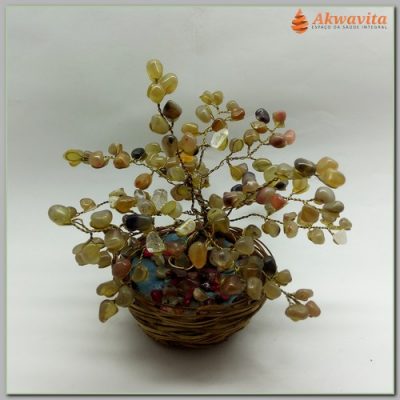 Árvore de Pedras Brasileiras Energéticas no Cesto