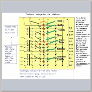 Curso Acupuntura Brasileira Abdominal Cervical Dorsal e Membros