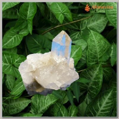 Pedra em Drusa de Cristal de Quartzo Conexão Cósmica 252gr